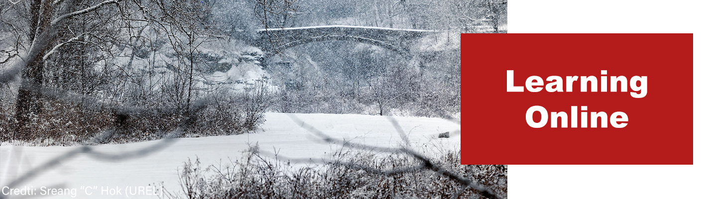 Learning Online Template-red-Pix on Left